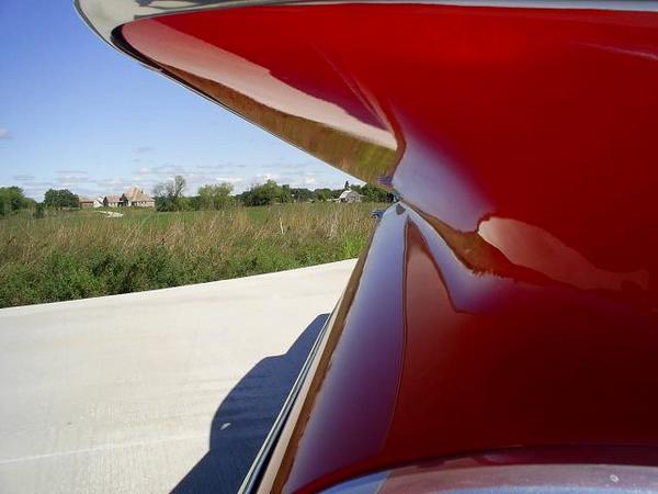 impala_wing_small