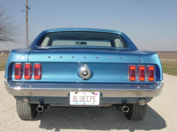 The Beauty of a Stang's Behind