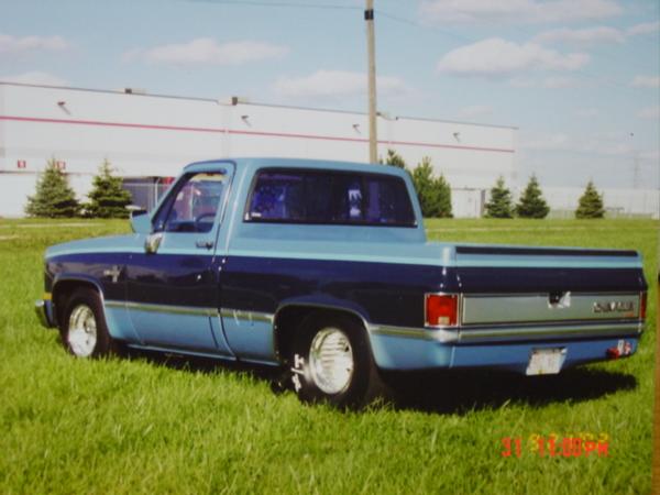 c-10 in the grass