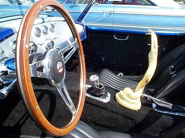 My 1966 Ford 427 Shelby Cobra (replica)