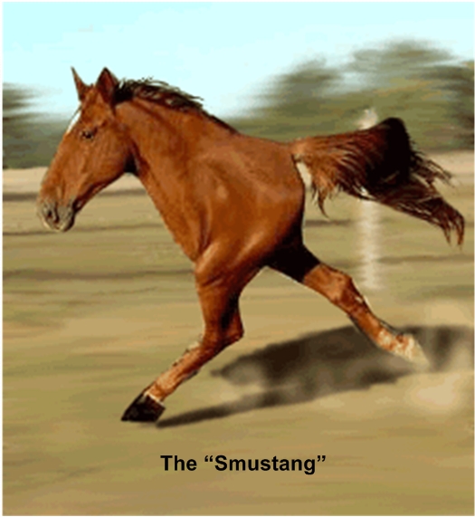 smustang